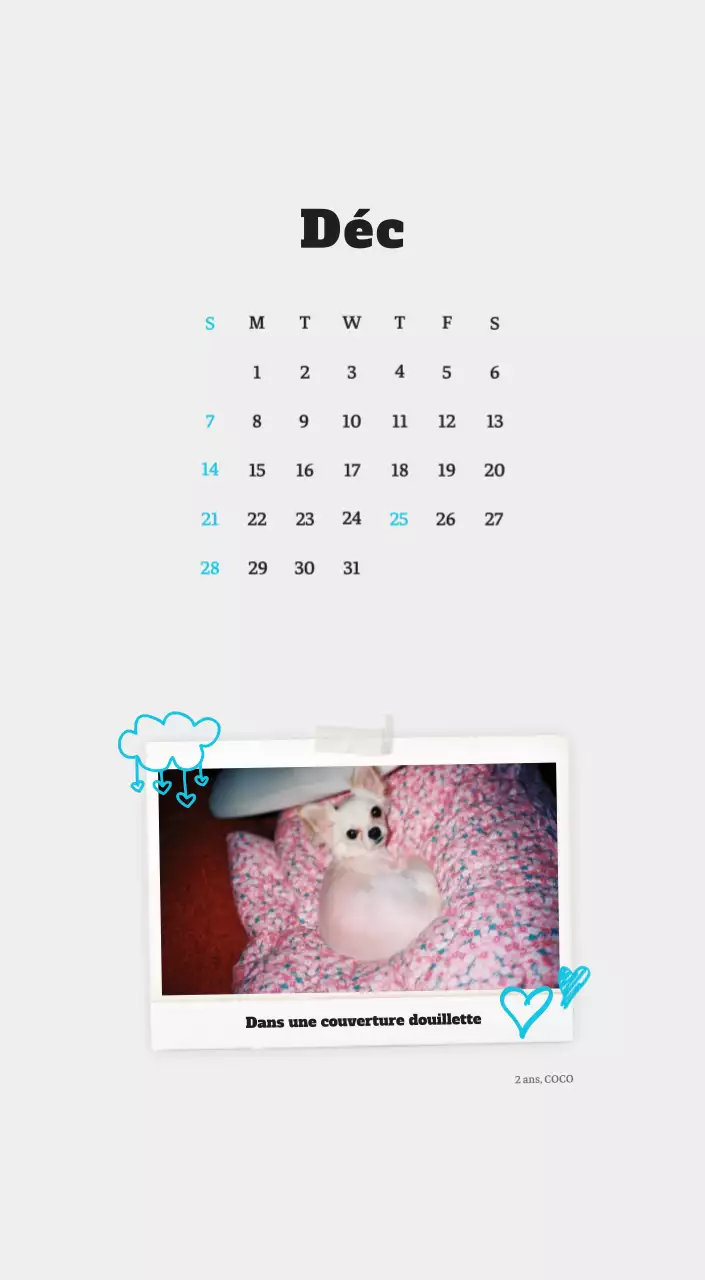 Calendrier photo blanc Neat Ballet Animal