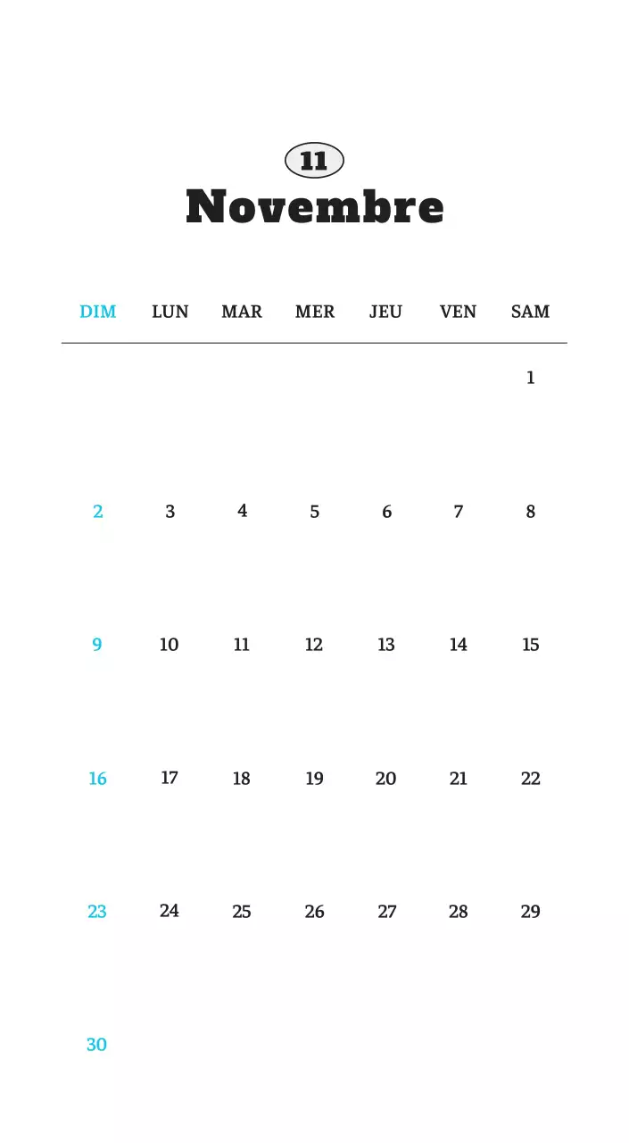 Calendrier photo blanc Neat Ballet Animal