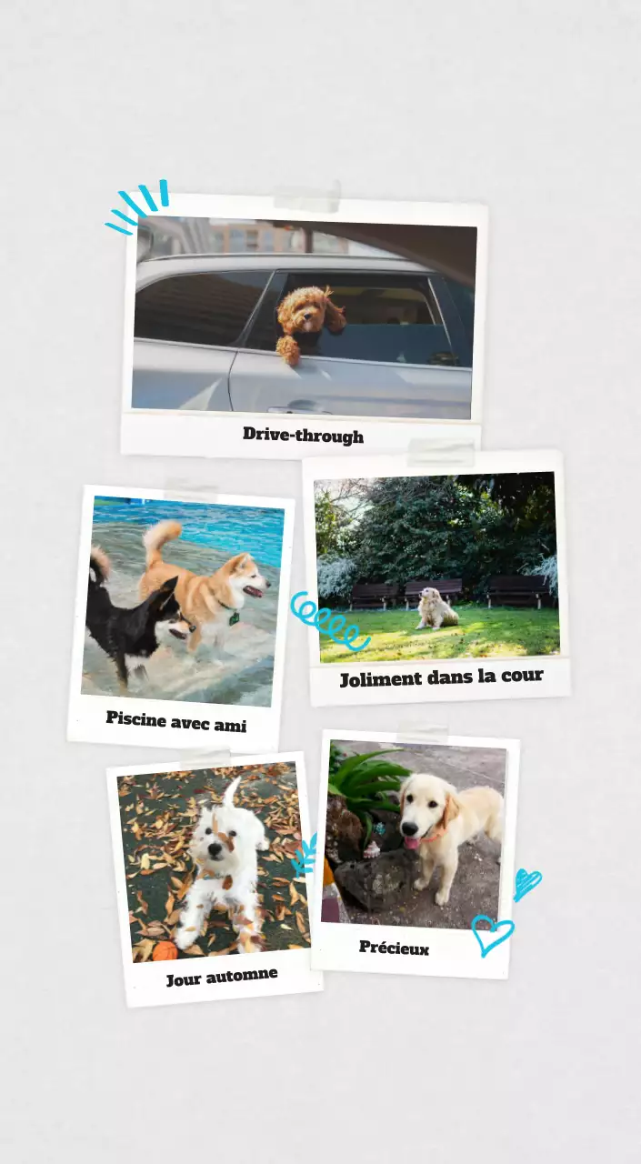 Calendrier photo blanc Neat Ballet Animal