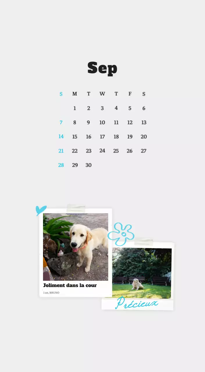 Calendrier photo blanc Neat Ballet Animal
