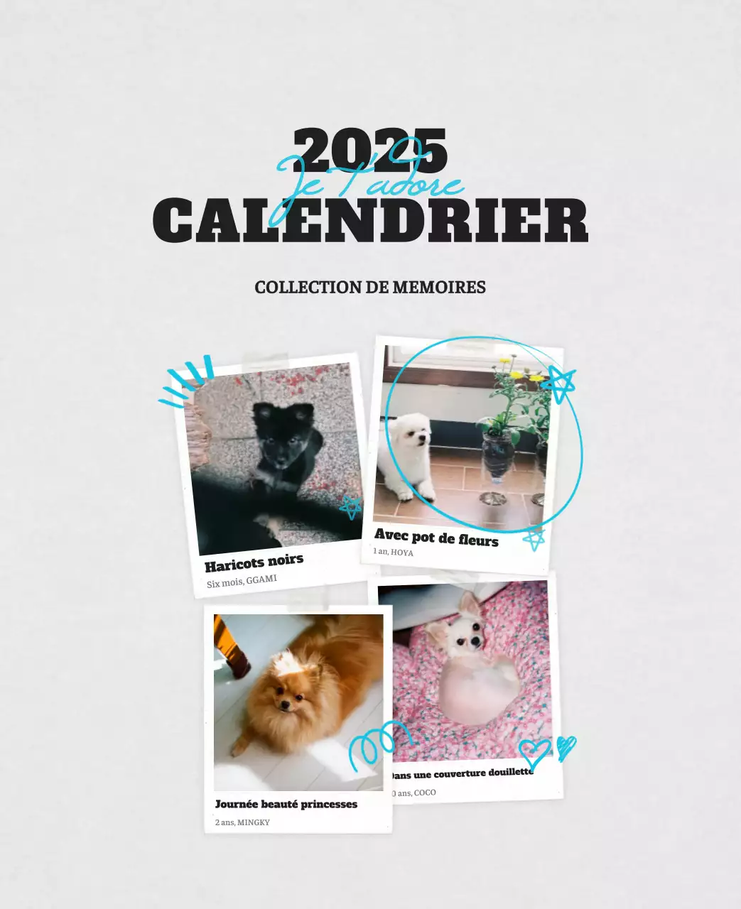 Calendrier photo blanc Neat Ballet Animal