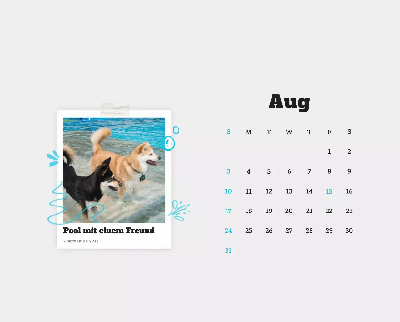 Weißer Neat Ballet-Tier-Fotokalender