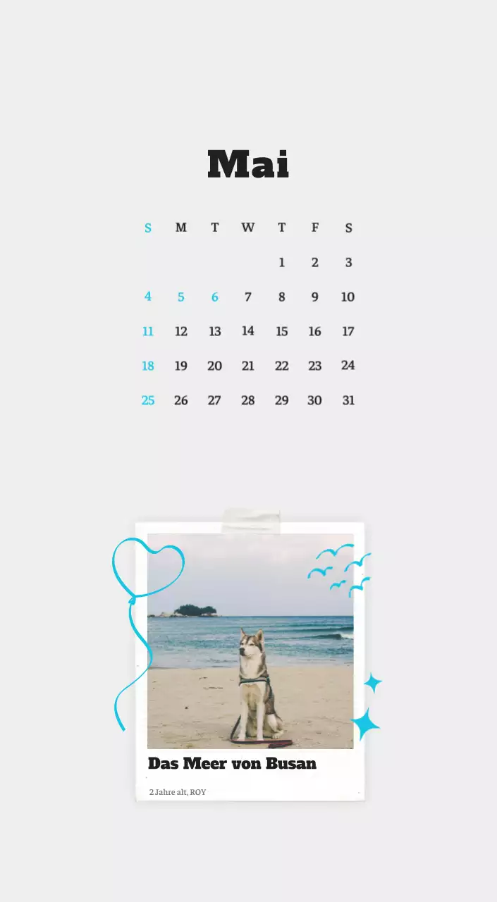 Weißer Neat Ballet-Tier-Fotokalender