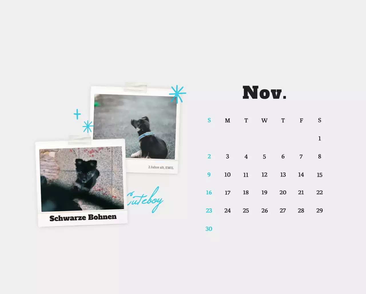 Weißer Neat Ballet-Tier-Fotokalender