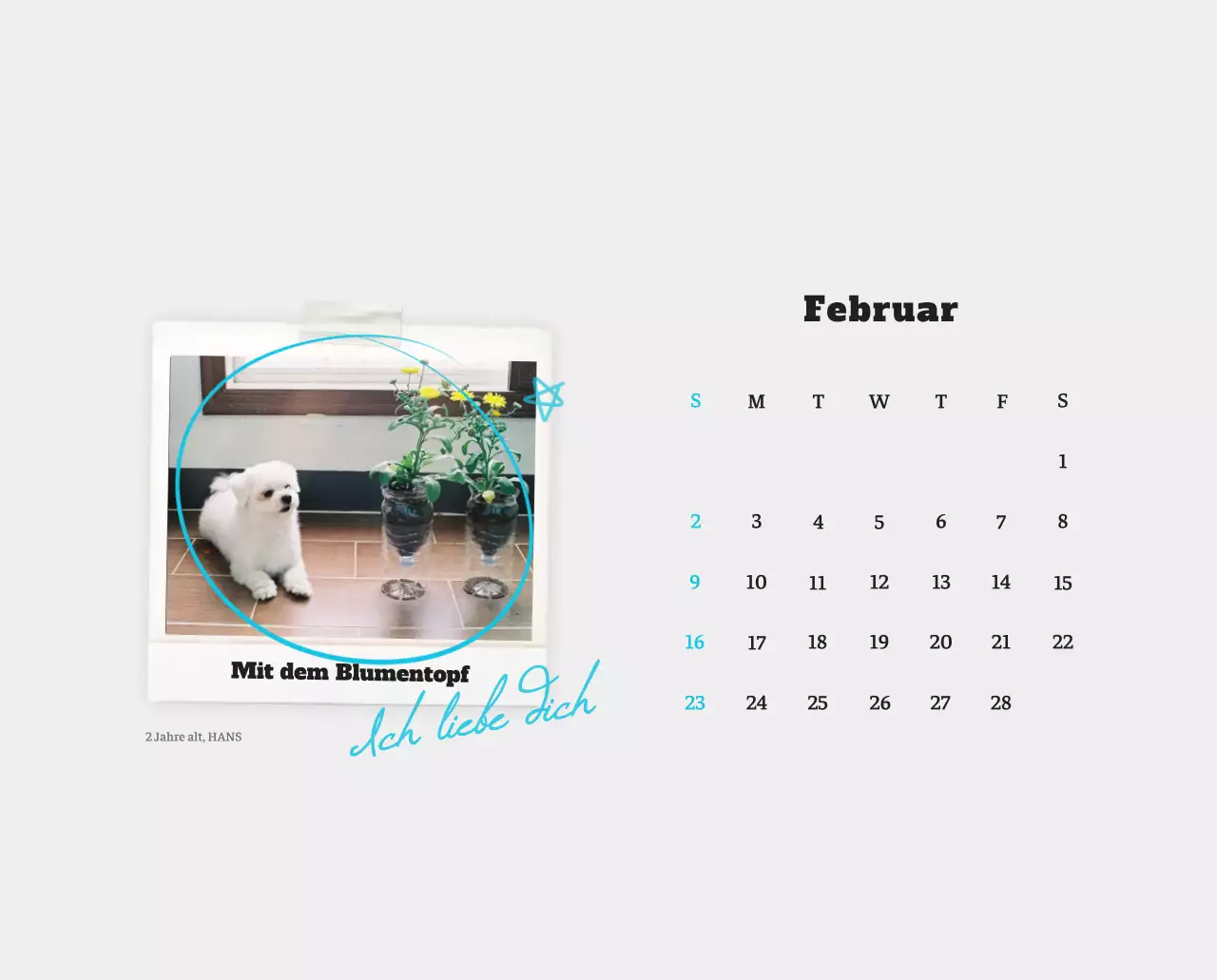 Weißer Neat Ballet-Tier-Fotokalender