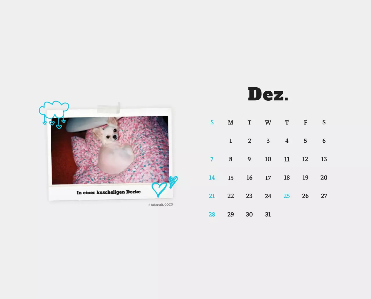 Weißer Neat Ballet-Tier-Fotokalender