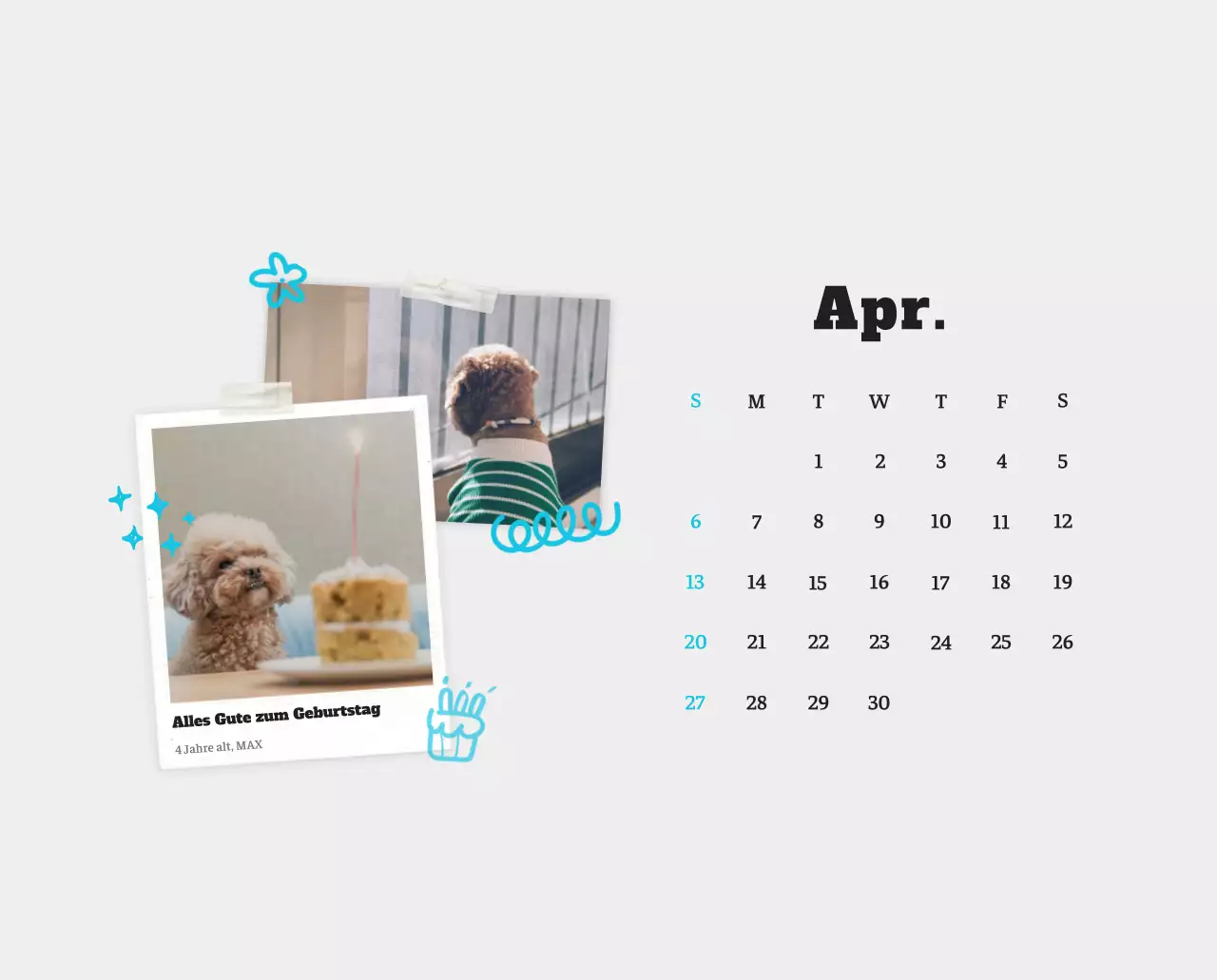 Weißer Neat Ballet-Tier-Fotokalender