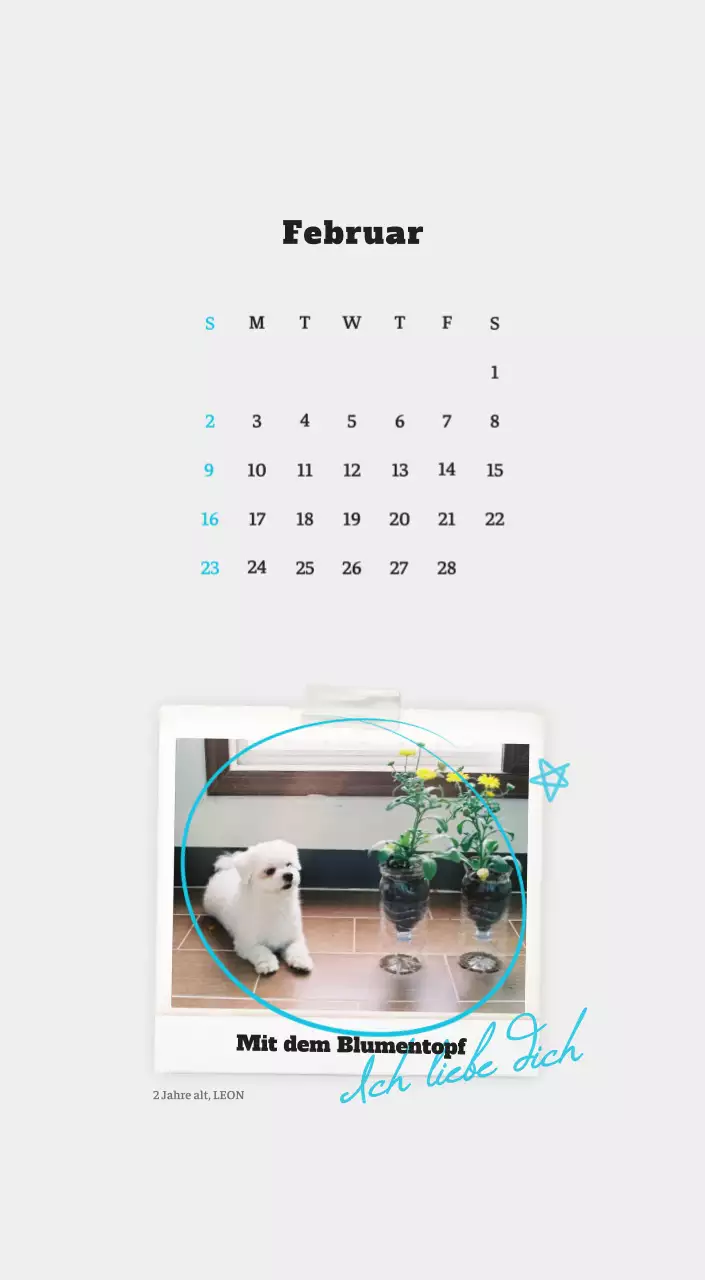 Weißer Neat Ballet-Tier-Fotokalender