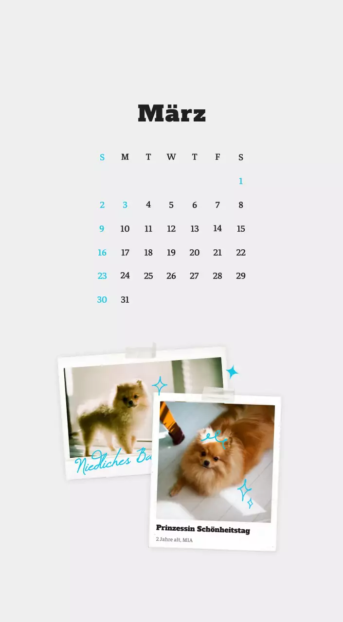 Weißer Neat Ballet-Tier-Fotokalender