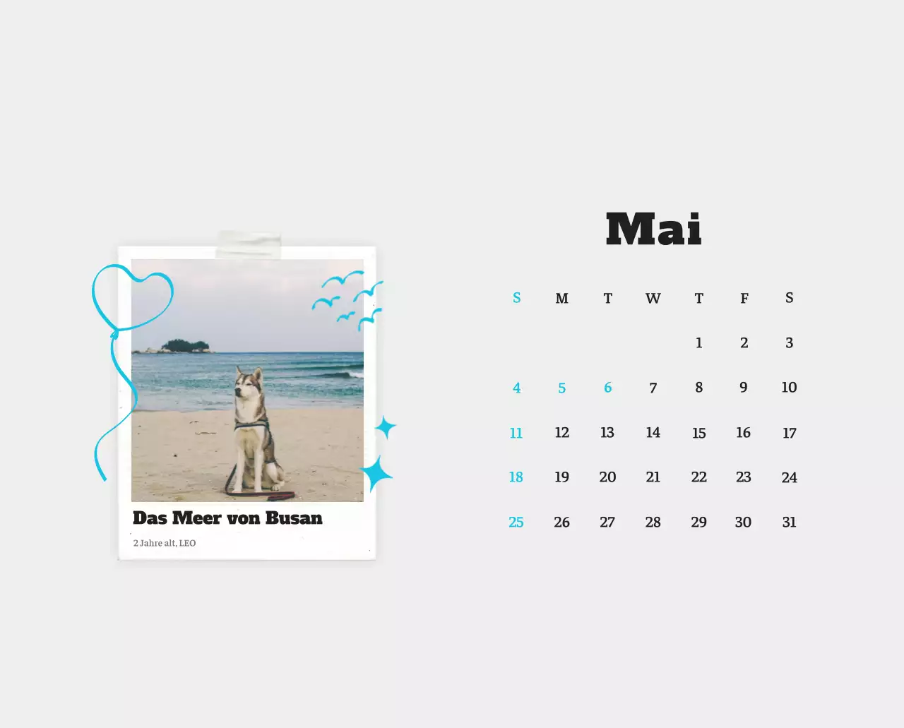 Weißer Neat Ballet-Tier-Fotokalender