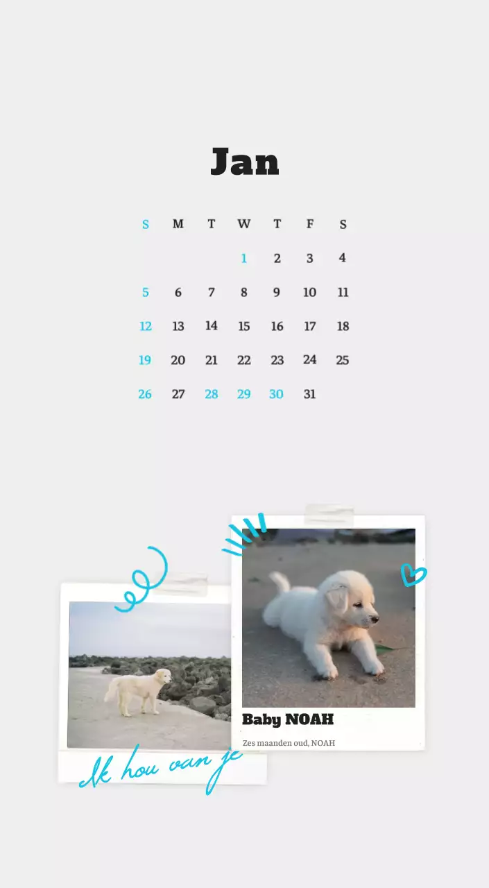 Witte Nette Ballet Dierenfotokalender
