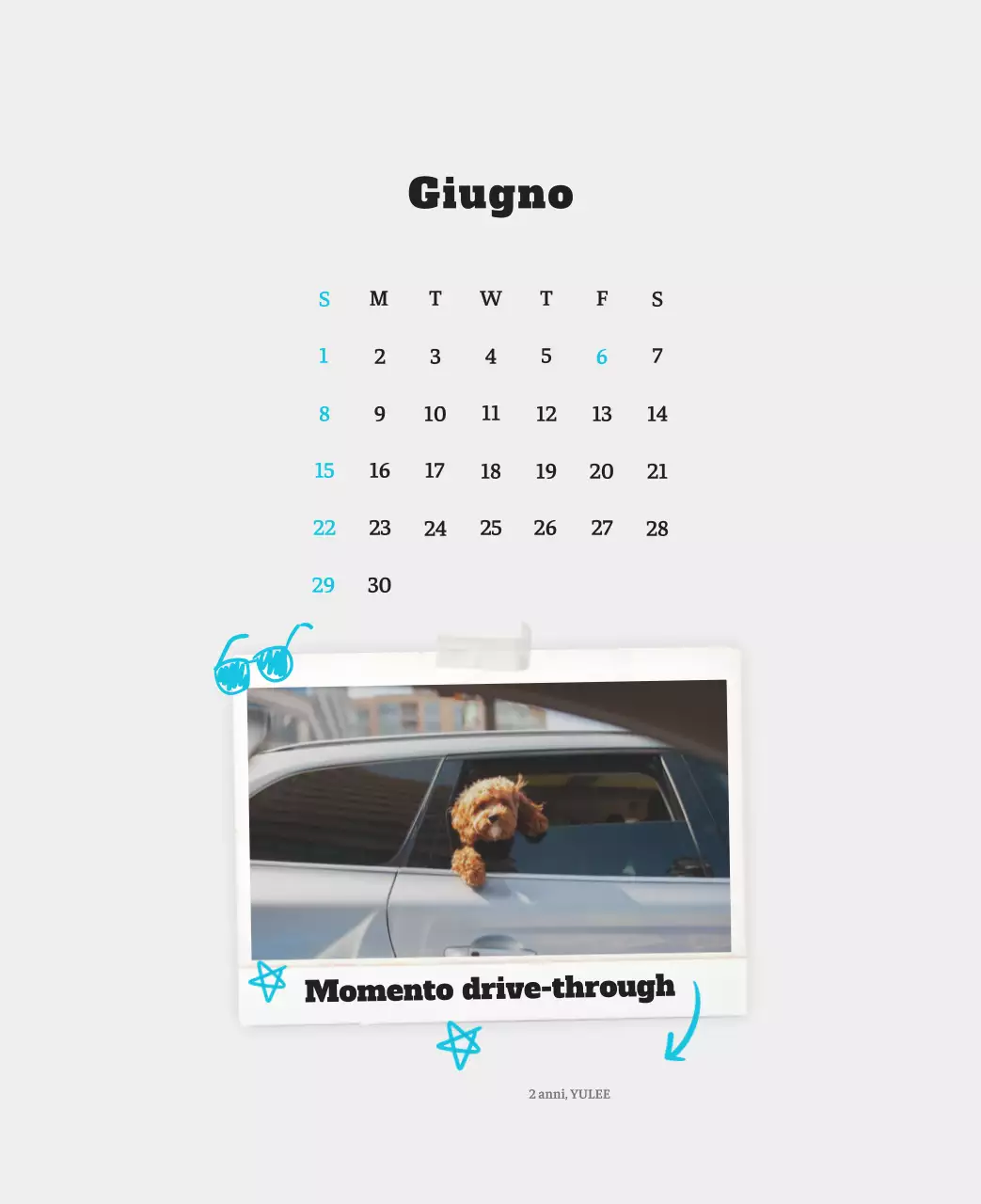 Calendario fotografico degli animali del balletto bianco e ordinato