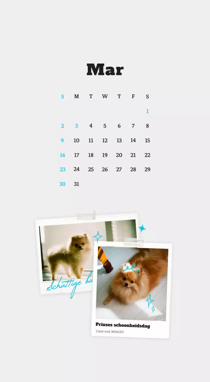 Witte Nette Ballet Dierenfotokalender