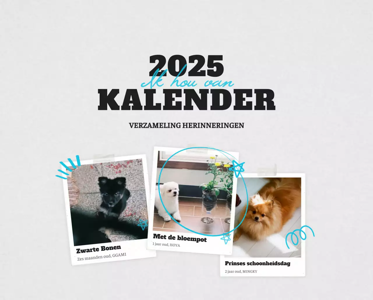 Witte Nette Ballet Dierenfotokalender