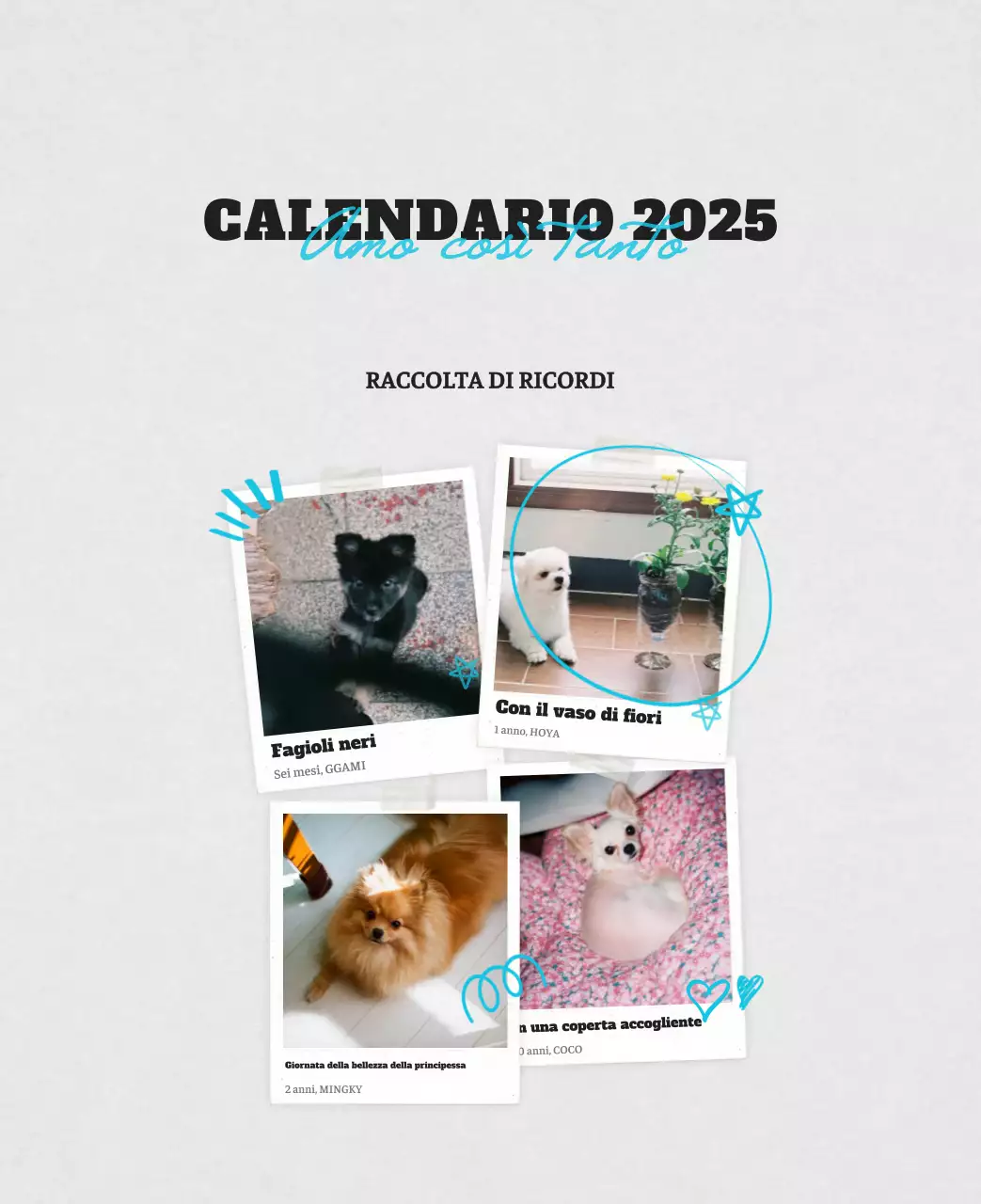 Calendario fotografico degli animali del balletto bianco e ordinato