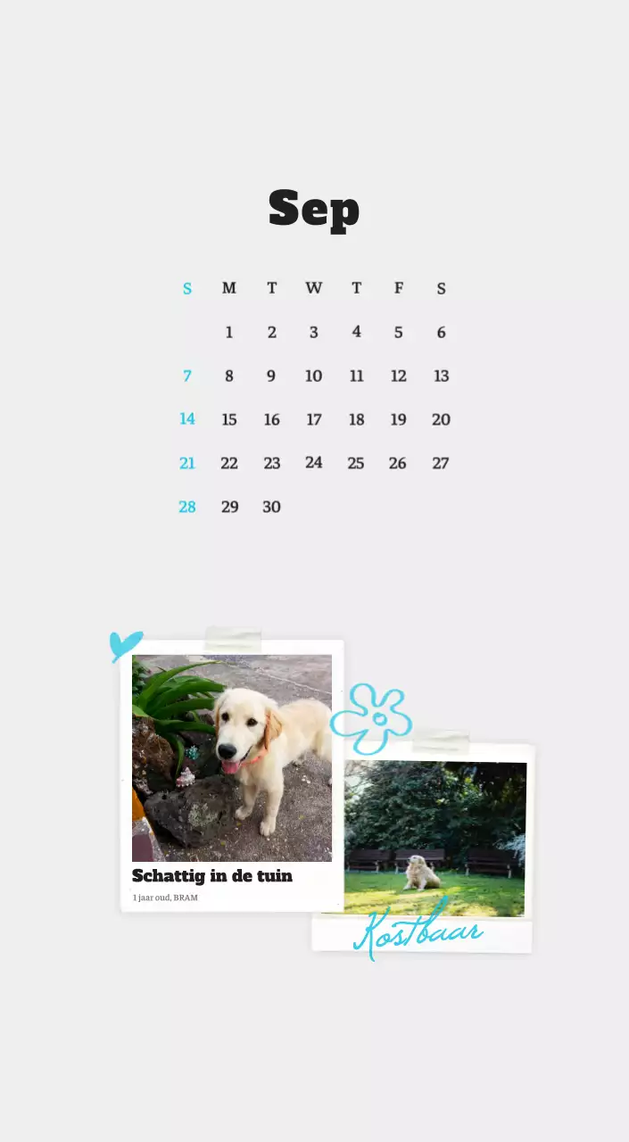 Witte Nette Ballet Dierenfotokalender