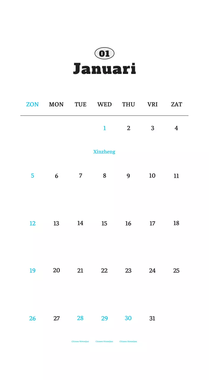 Witte Nette Ballet Dierenfotokalender