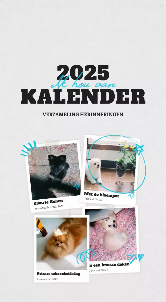 Witte Nette Ballet Dierenfotokalender