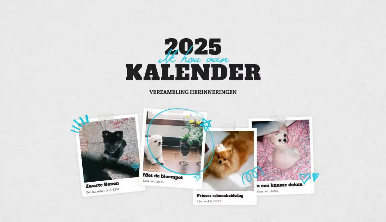Witte Nette Ballet Dierenfotokalender