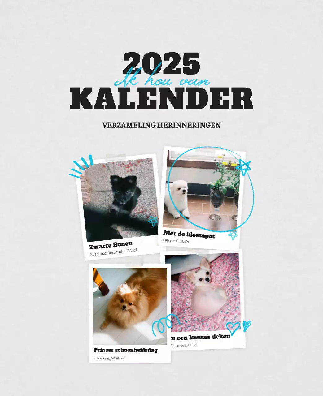Witte Nette Ballet Dierenfotokalender