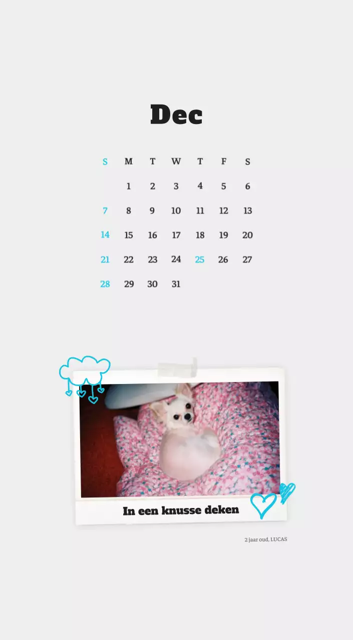 Witte Nette Ballet Dierenfotokalender