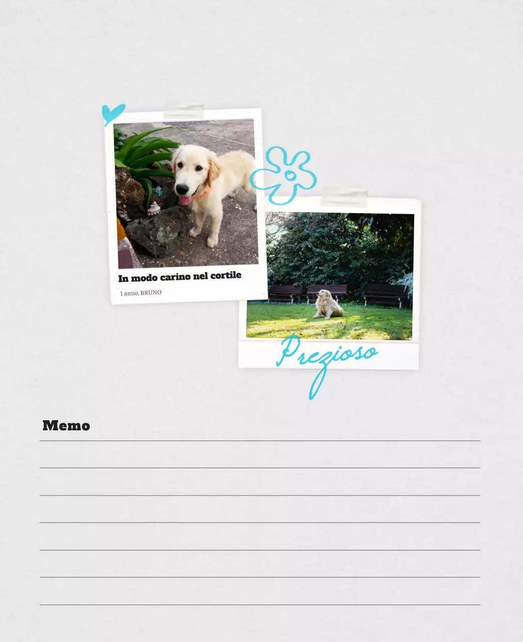 Calendario fotografico degli animali del balletto bianco e ordinato