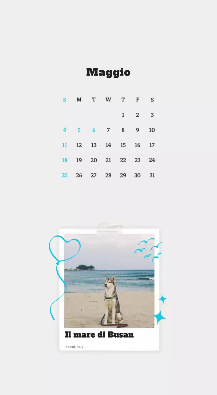 Calendario fotografico degli animali del balletto bianco e ordinato