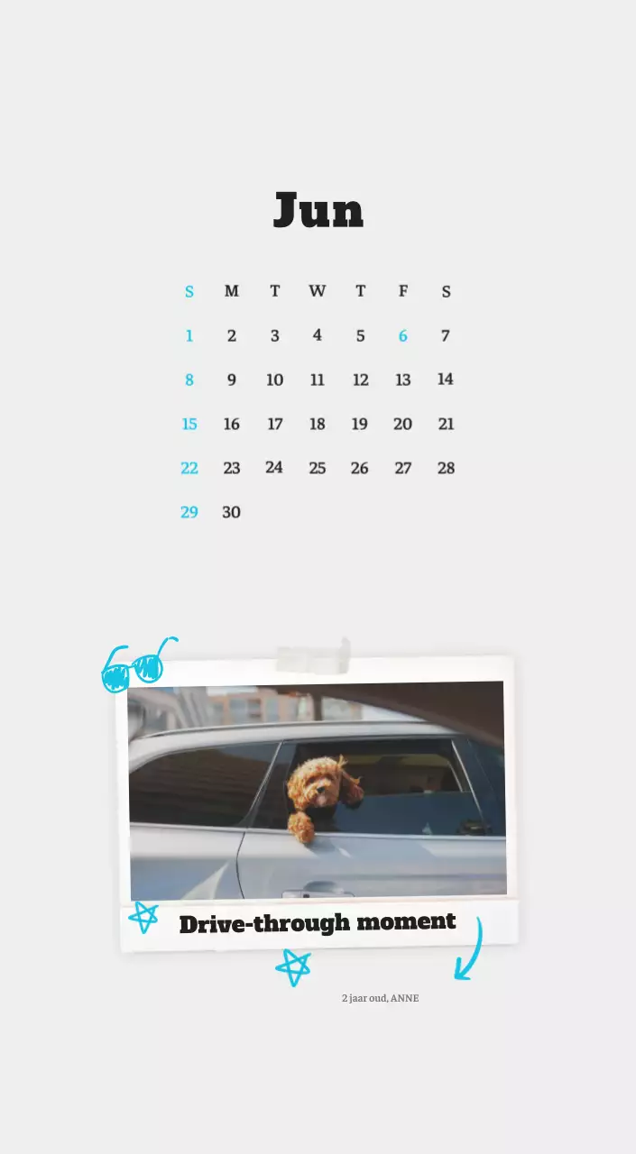 Witte Nette Ballet Dierenfotokalender
