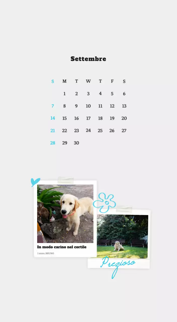 Calendario fotografico degli animali del balletto bianco e ordinato