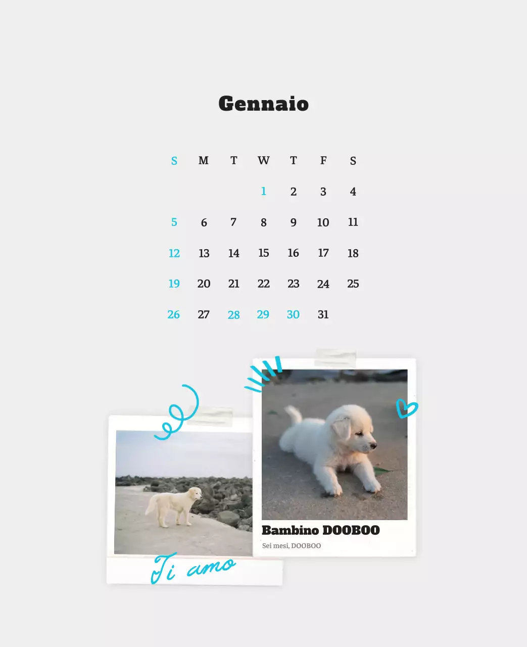 Calendario fotografico degli animali del balletto bianco e ordinato