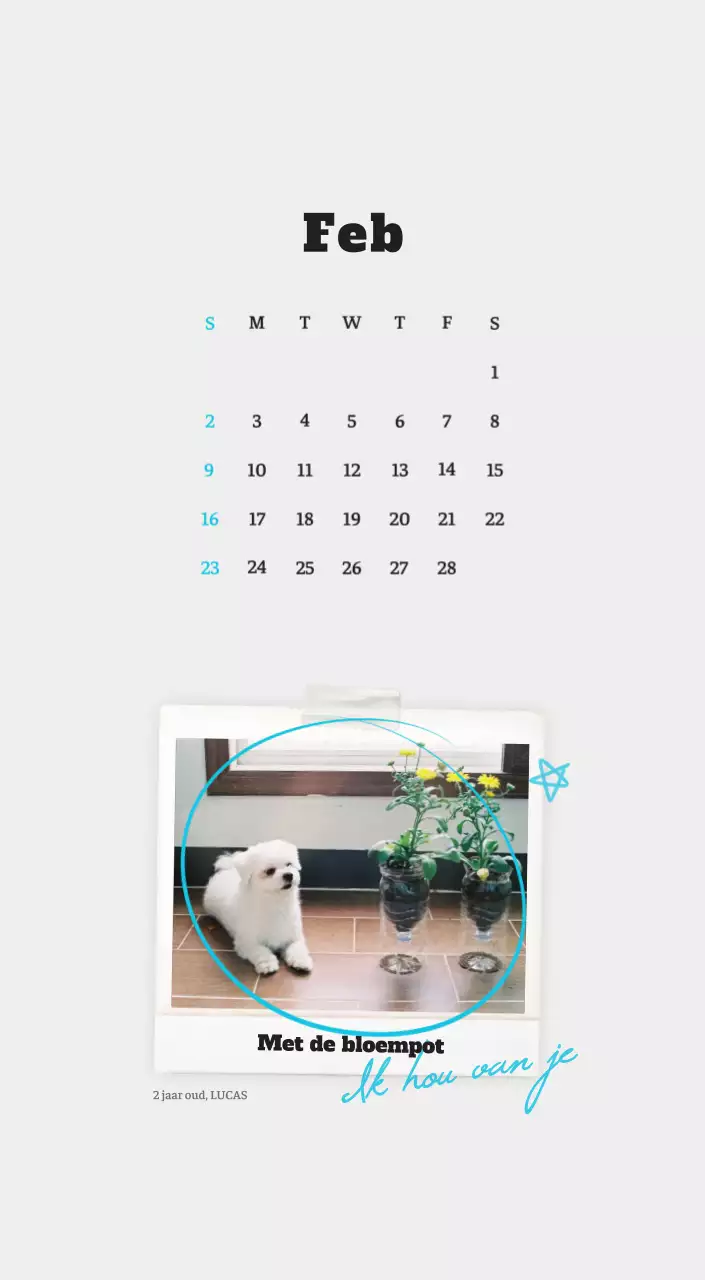 Witte Nette Ballet Dierenfotokalender