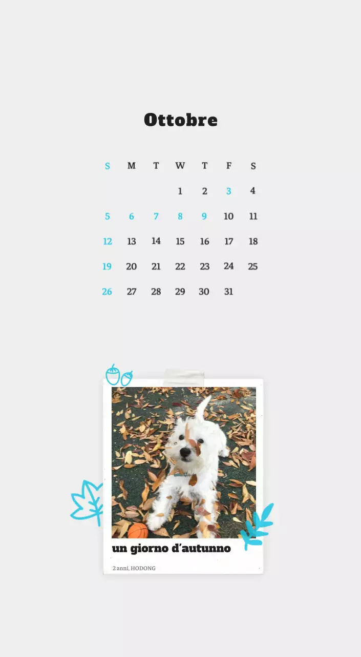 Calendario fotografico degli animali del balletto bianco e ordinato