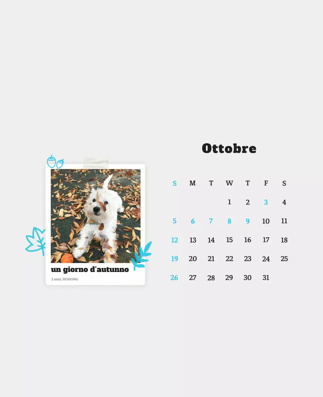 Calendario fotografico degli animali del balletto bianco e ordinato