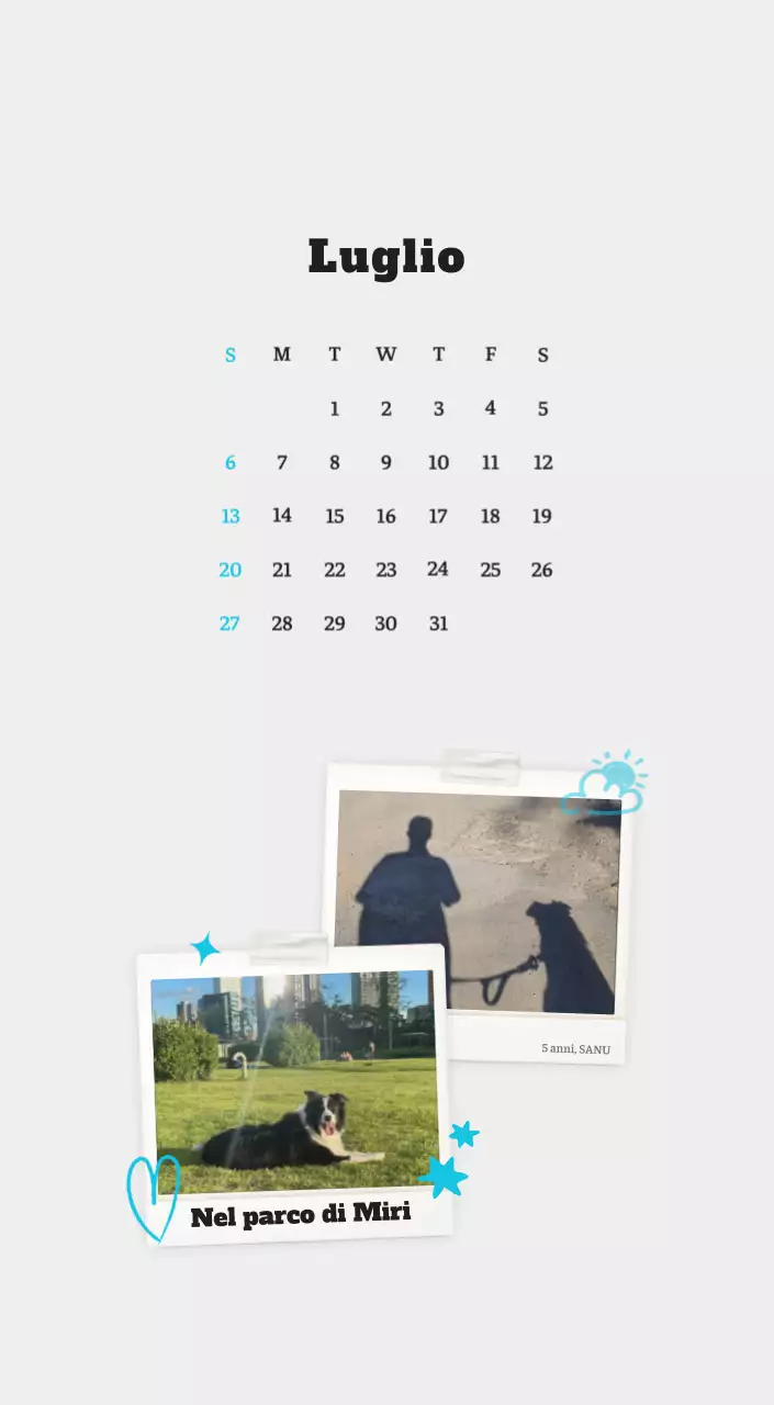 Calendario fotografico degli animali del balletto bianco e ordinato
