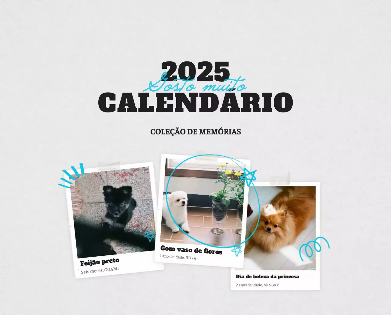 Calendário fotográfico de animais de ballet branco e elegante