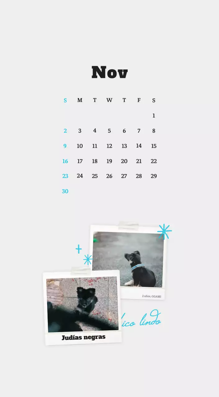 Ballet Blanco Neat Animal Foto Calendario