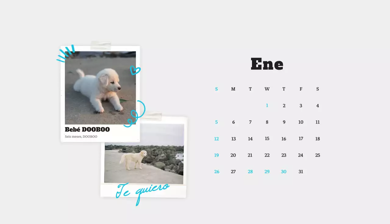Ballet Blanco Neat Animal Foto Calendario