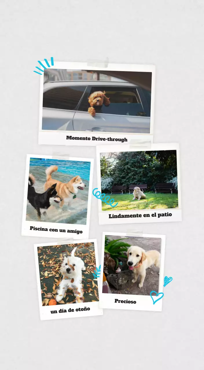 Ballet Blanco Neat Animal Foto Calendario