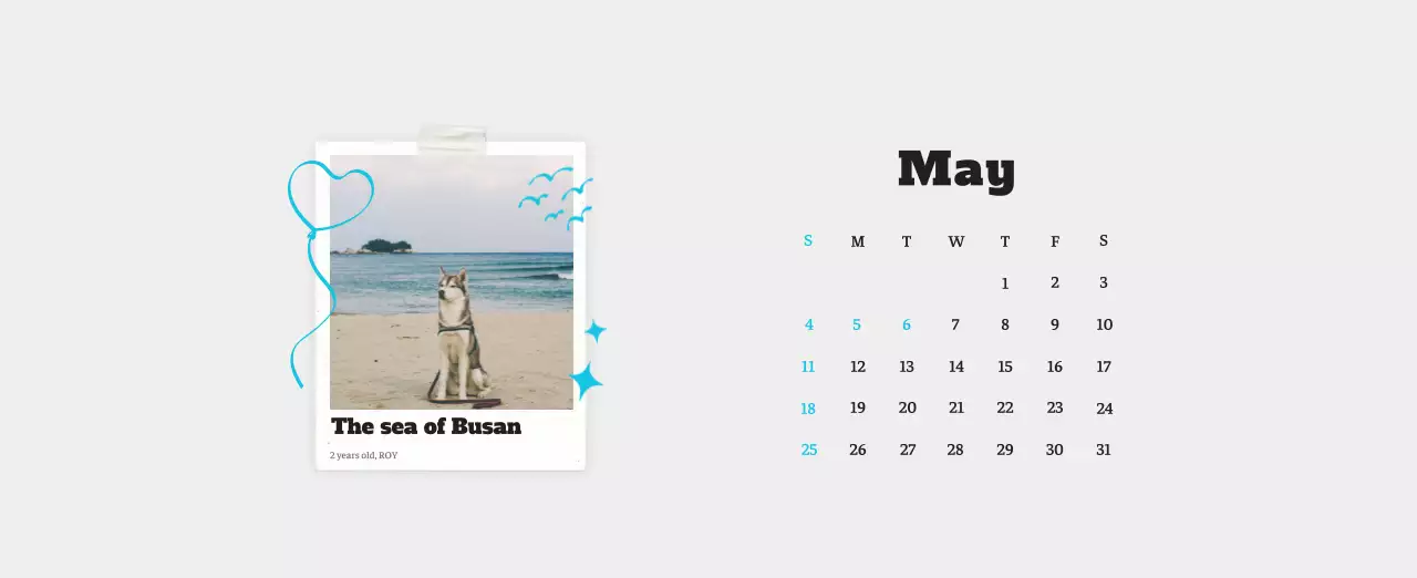 White neat pet photo calendar