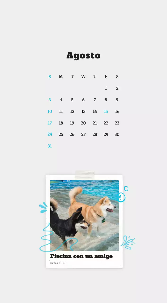 Ballet Blanco Neat Animal Foto Calendario