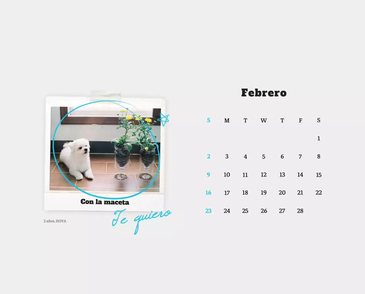 Ballet Blanco Neat Animal Foto Calendario