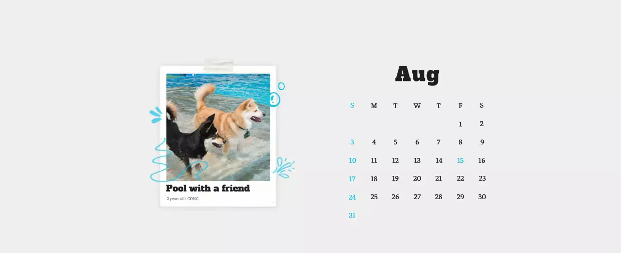White neat pet photo calendar