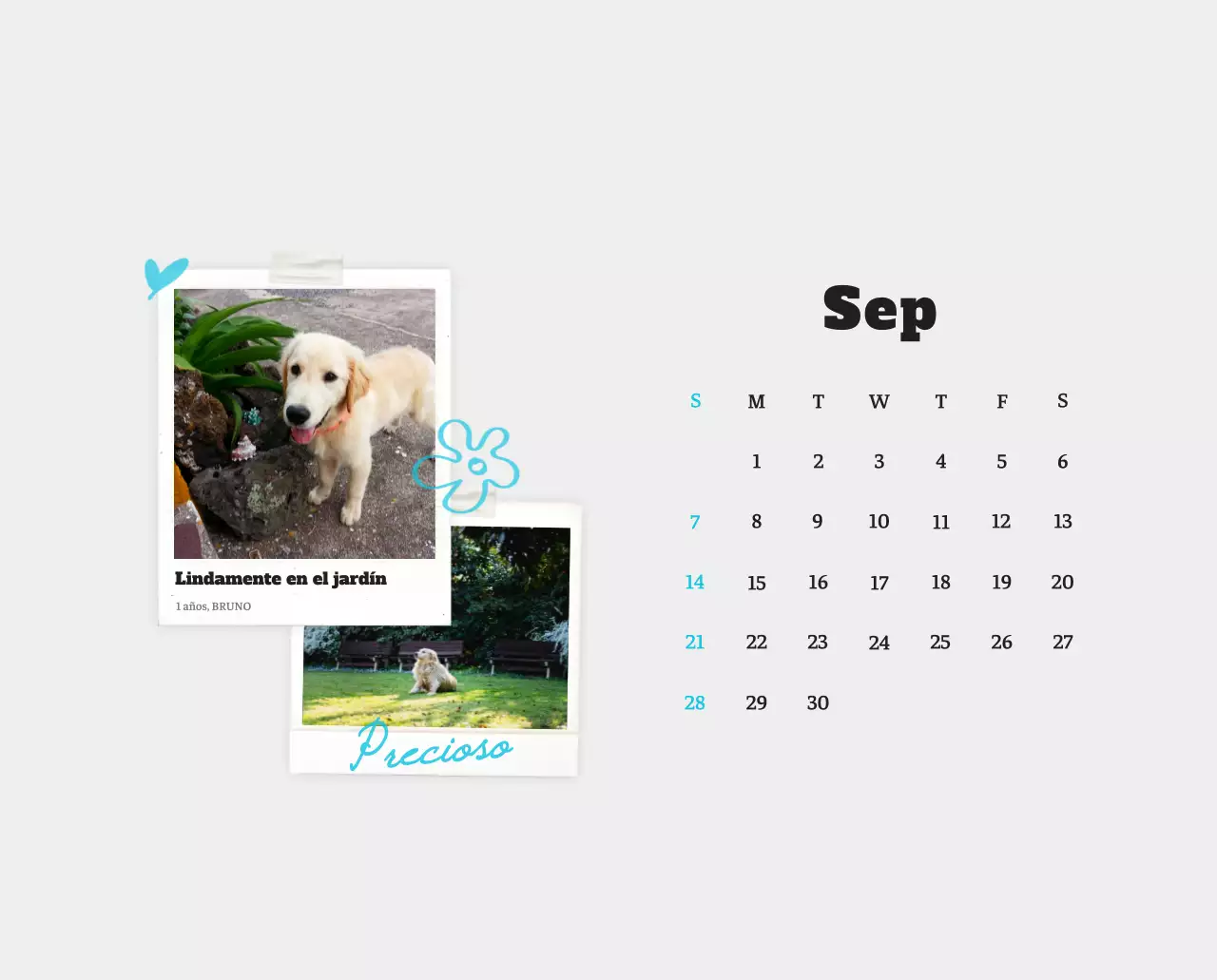 Ballet Blanco Neat Animal Foto Calendario