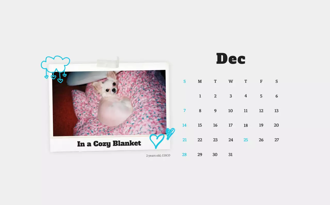 Kalender Foto Binatang Balet Putih Rapi