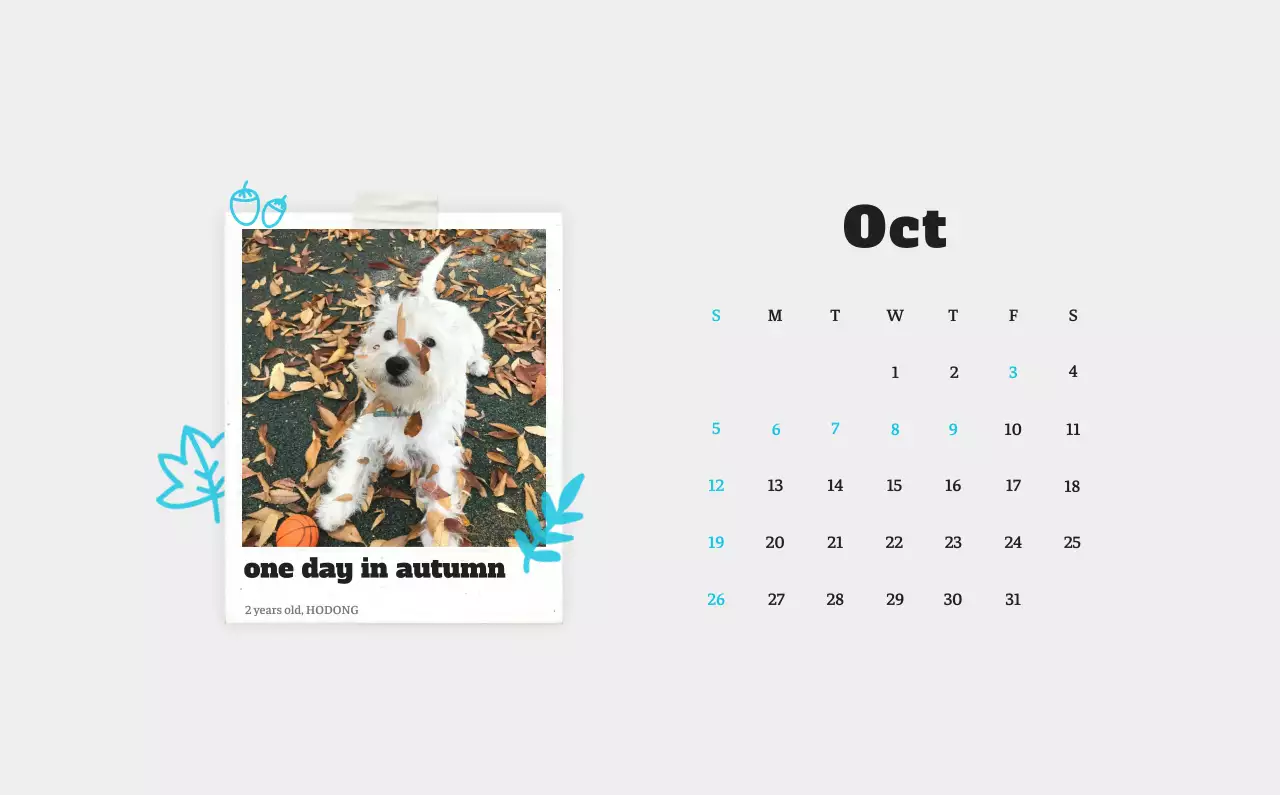 Kalender Foto Binatang Balet Putih Rapi