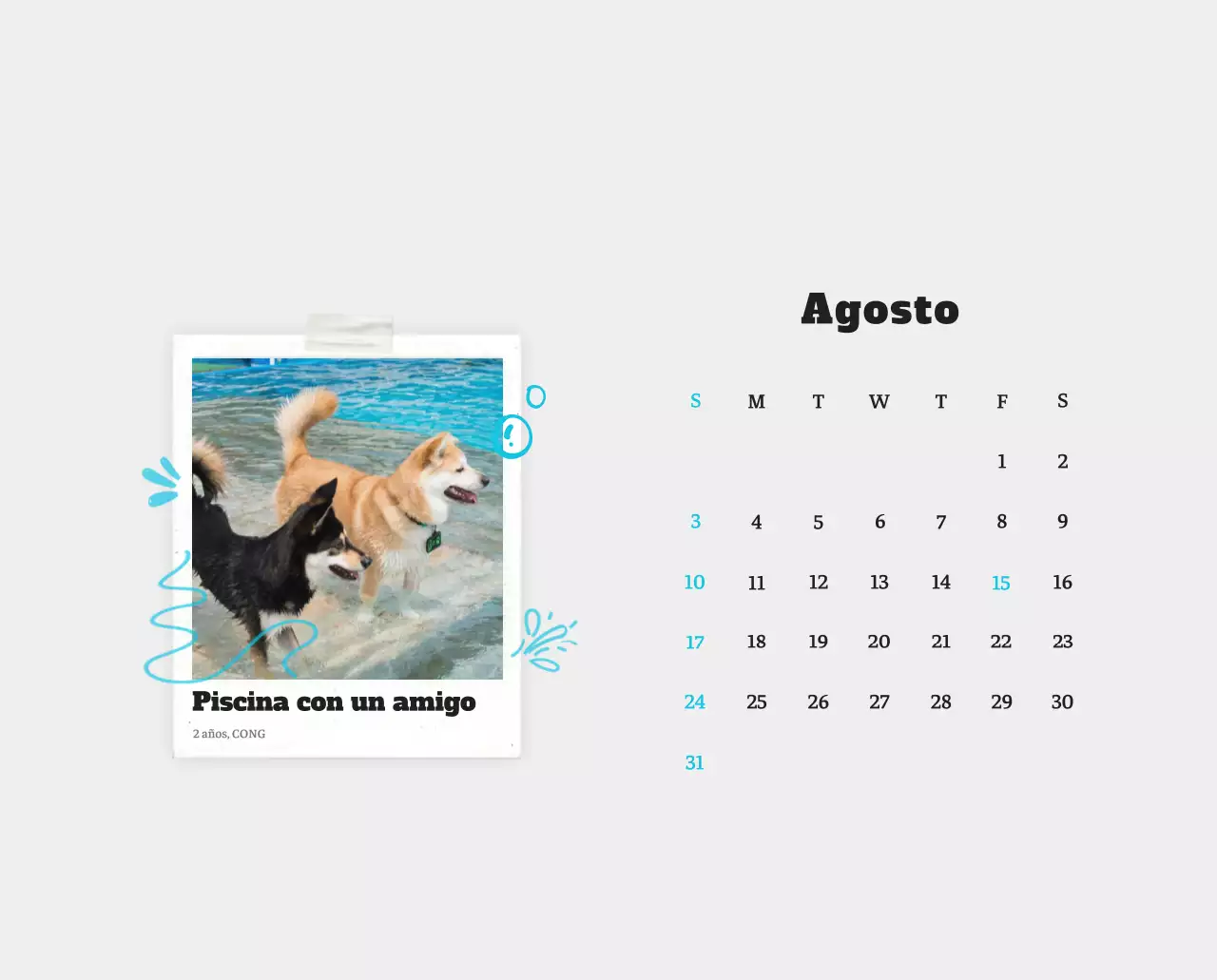 Ballet Blanco Neat Animal Foto Calendario