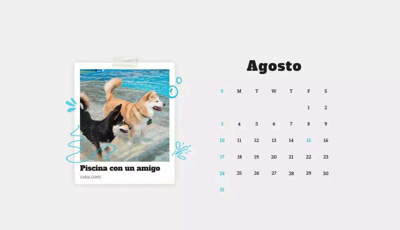 Ballet Blanco Neat Animal Foto Calendario