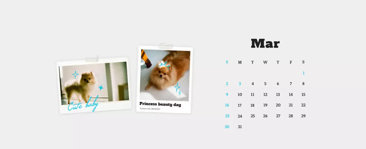 White neat pet photo calendar