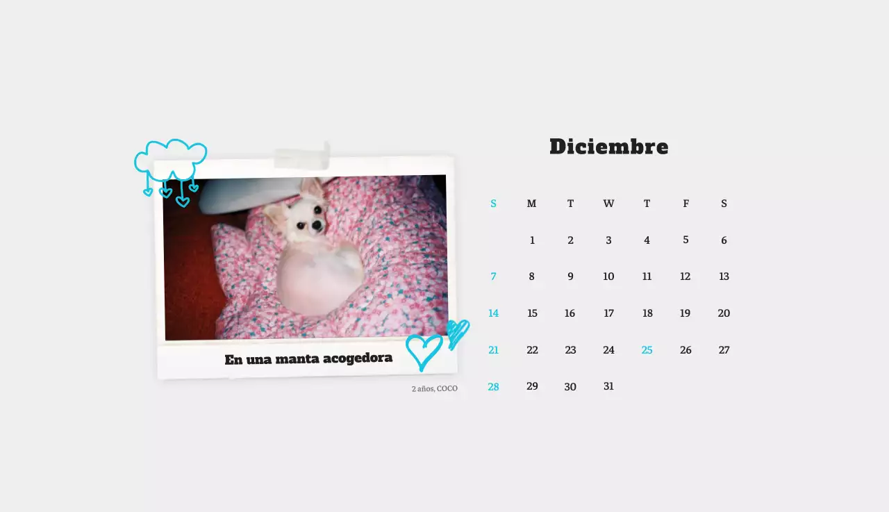 Ballet Blanco Neat Animal Foto Calendario