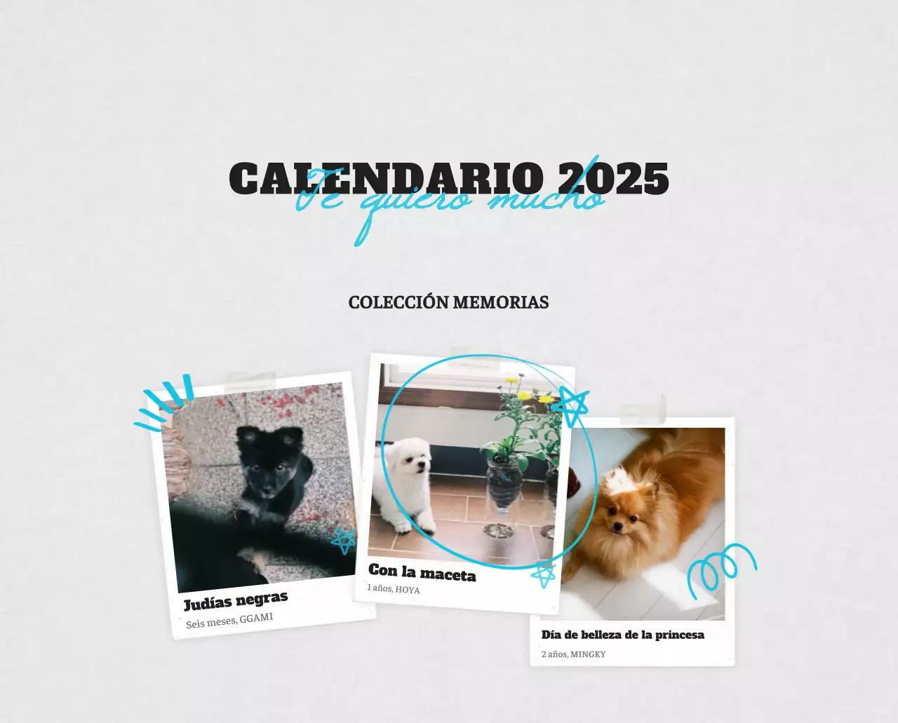 Ballet Blanco Neat Animal Foto Calendario